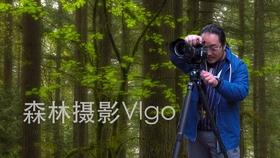 动物帮帮忙保卫家园