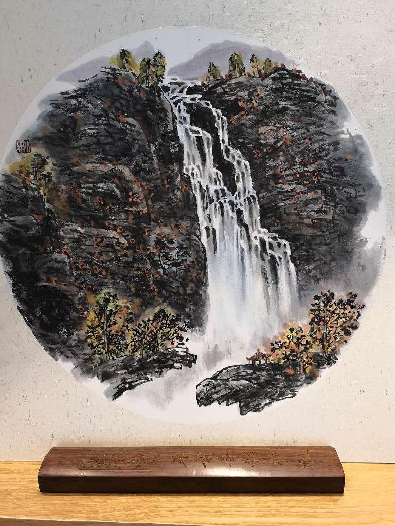 春雨直播app
